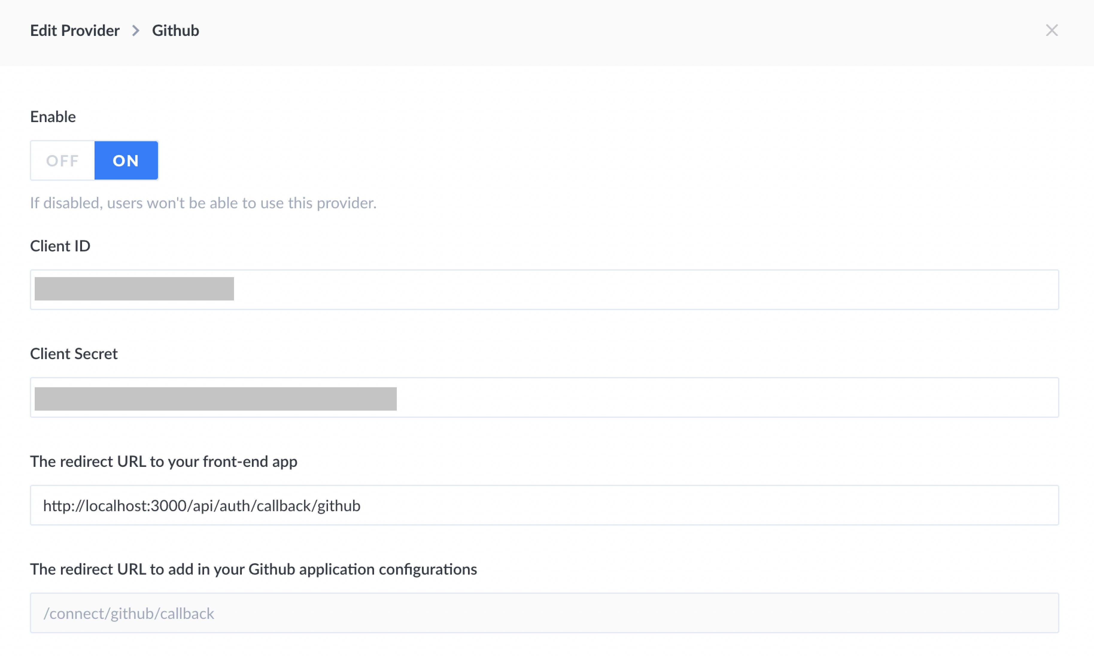 Screenshot of strapi GitHub fields